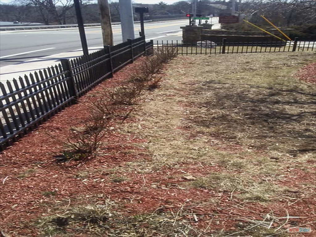 mulch-2