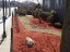mulch-5